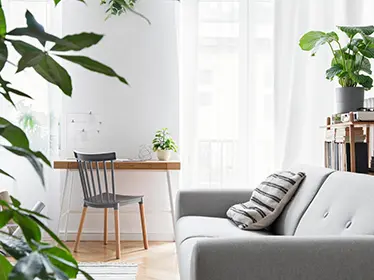 帰宅または入院